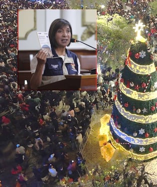Gestión de Janet Cubas ya inauguró nuevo árbol navideño.