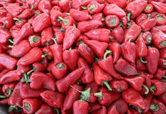 Exportaciones de pimiento piquillo en conserva tienen tendencia a crecer