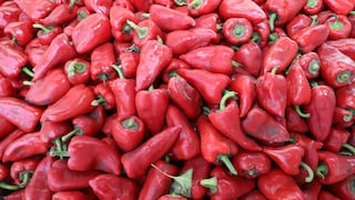 Exportaciones de pimiento piquillo en conserva tienen tendencia a crecer