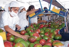 Piura: Más del 60% de la producción agrícola está en peligro por El Niño