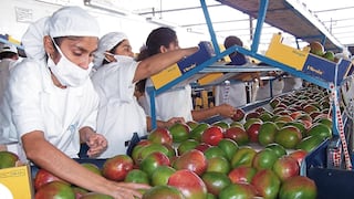 Piura: Más del 60% de la producción agrícola está en peligro por El Niño