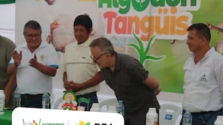 Pisco: ceremonia por el Día del Algodón Tangüis en el distrito de Independencia