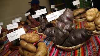 Registran 509 variedades de papas nativas en nuestro país