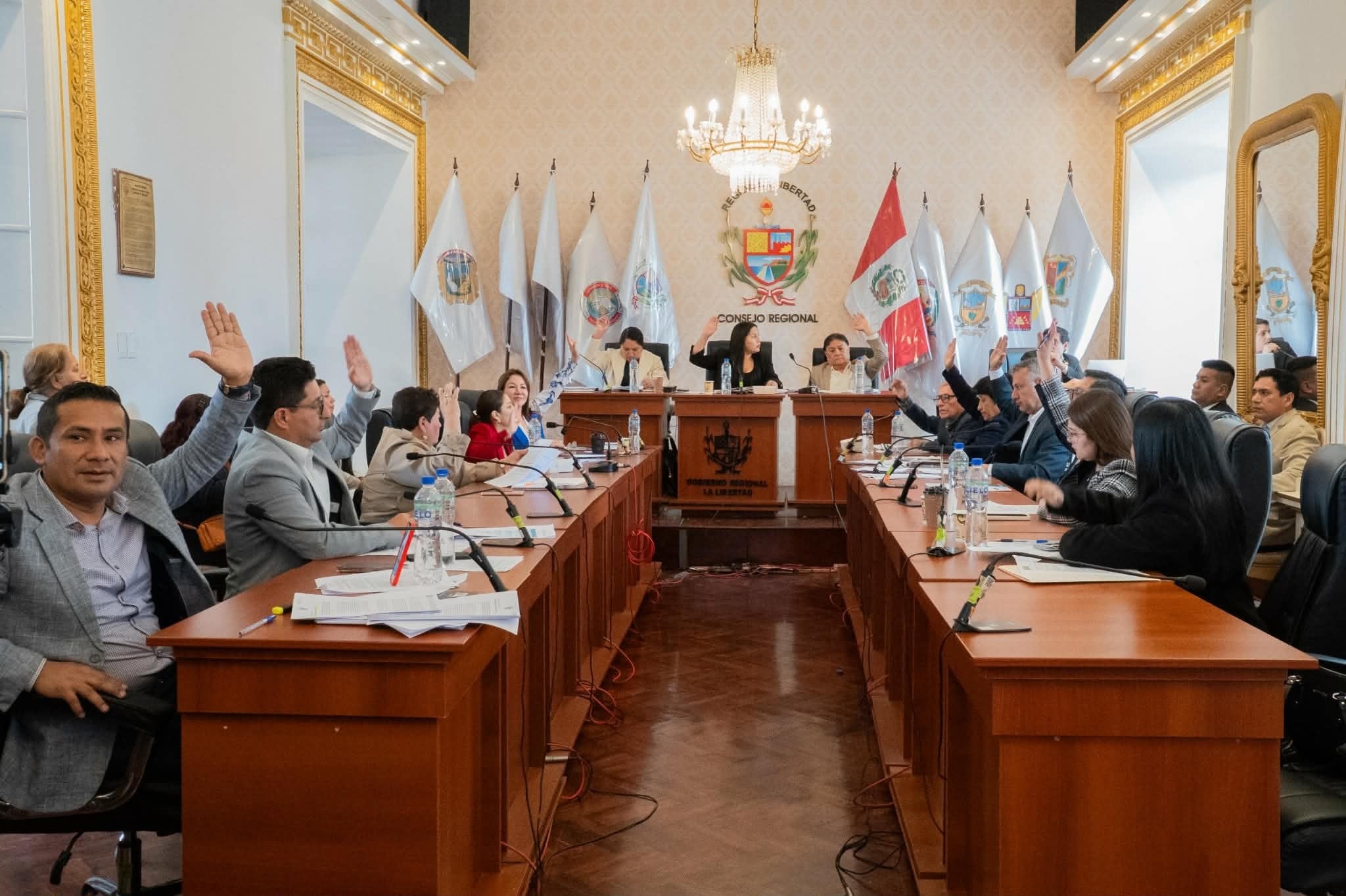 Este año los consejeros dieron el visto bueno a 24 de estas normas, pero la mayoría de ellas son netamente declarativas y de poco impacto en la lucha contra la ola delincuencia.