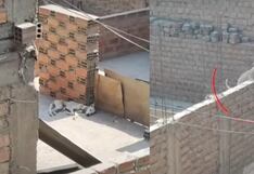 Rescatan a dos perritas en azotea de vivienda en SJL: presentaban signos de desnutrición y abandono