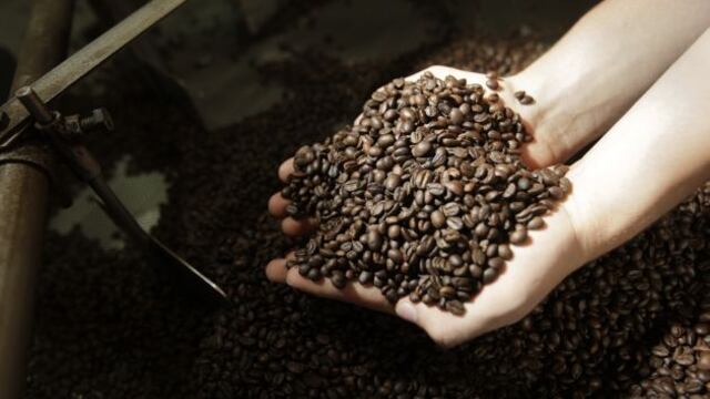 Perú mejora precios para la exportación de café a Alemania 