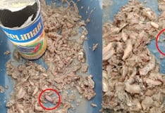 Piura: Hallan parásitos en conservas de anchoveta que fueron entregados por Qali Warma
