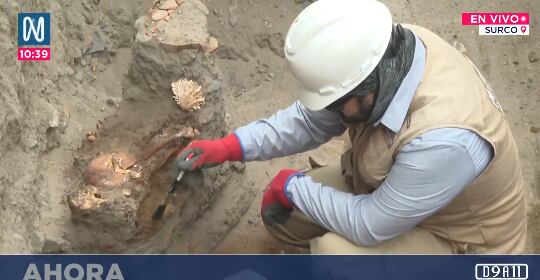 El hallazgo se produjo en la zona del golf Los Incas, lo que obligó a detener los trabajos y notificar a las autoridades competentes en patrimonio. FOTO: CAPTURA CANAL N