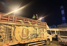 Pastora persigue a presuntos abigeos que caen con vacunos robados y S/19 mil en Concepción
