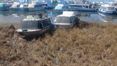 Consecuencias del déficit hídrico se empiezan a sentir. Foto/Difusión.