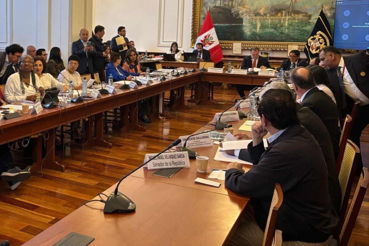 La Comisión de Constitución tuvo una sesión accidentada ayer por la mañana. (Foto: @americanoticias)