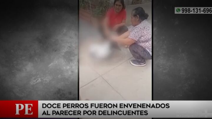 Vecinos presumen que delincuentes los envenenaron. Foto: América Noticias