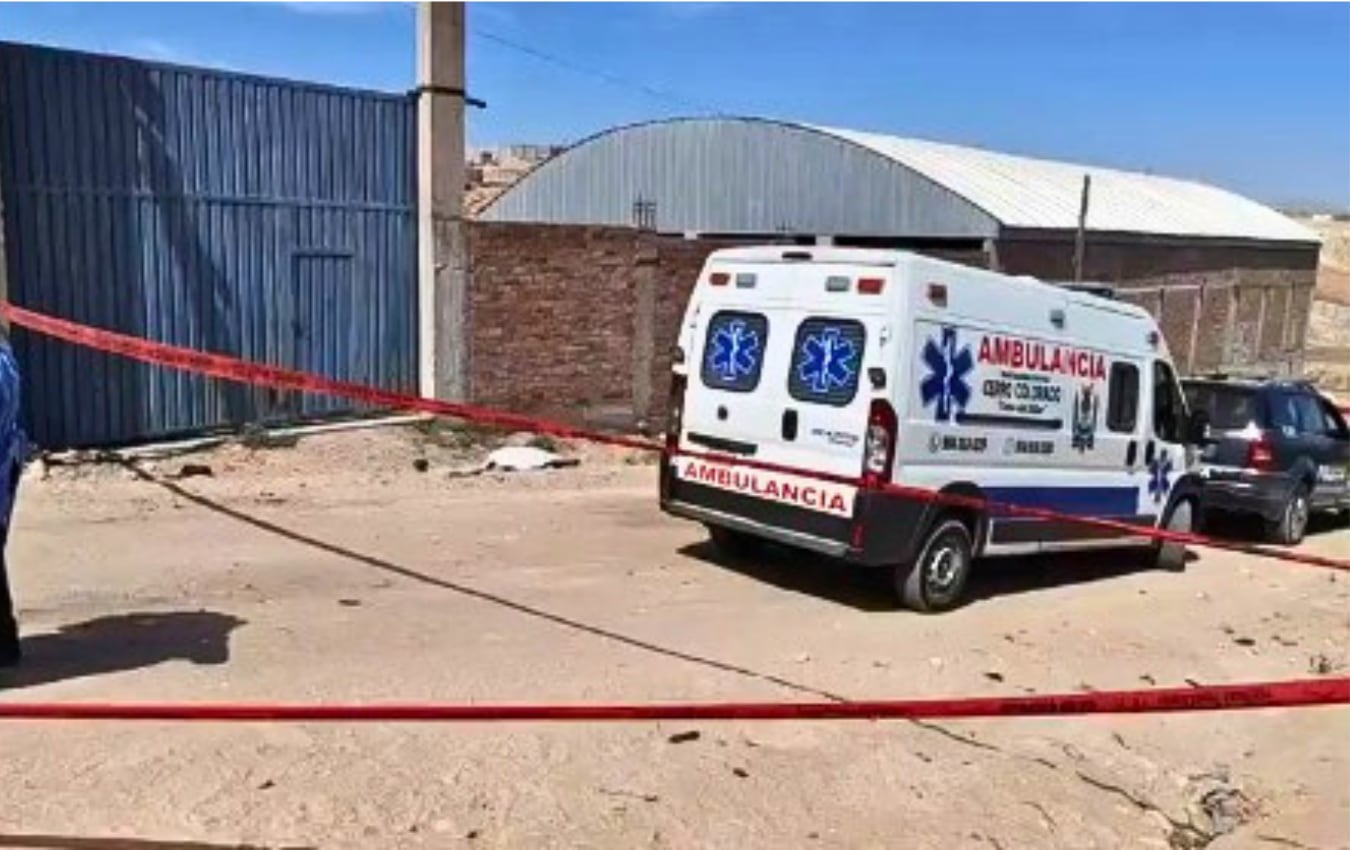 Jauría de perros mata a adulta mayor en Cerro Colorado. Foto: Captura de pantalla.