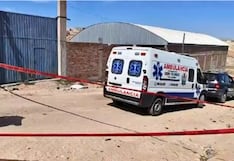 Tragedia en Arequipa: Jauría de perros mata a adulta mayor en Cerro Colorado