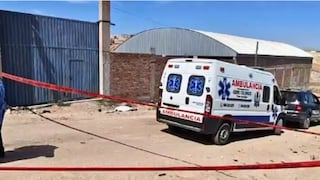 Tragedia en Arequipa: Jauría de perros mata a adulta mayor en Cerro Colorado
