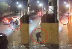 Trujillo: Hampones prenden fuego a terreno en construcción (VIDEO)