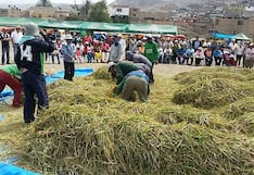 Arequipa: Cocachacra celebra el XI Festival de la Cosecha del Arroz los días 23 y 24 de mayo