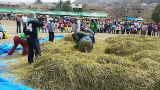Arequipa: Cocachacra celebra el XI Festival de la Cosecha del Arroz los días 23 y 24 de mayo