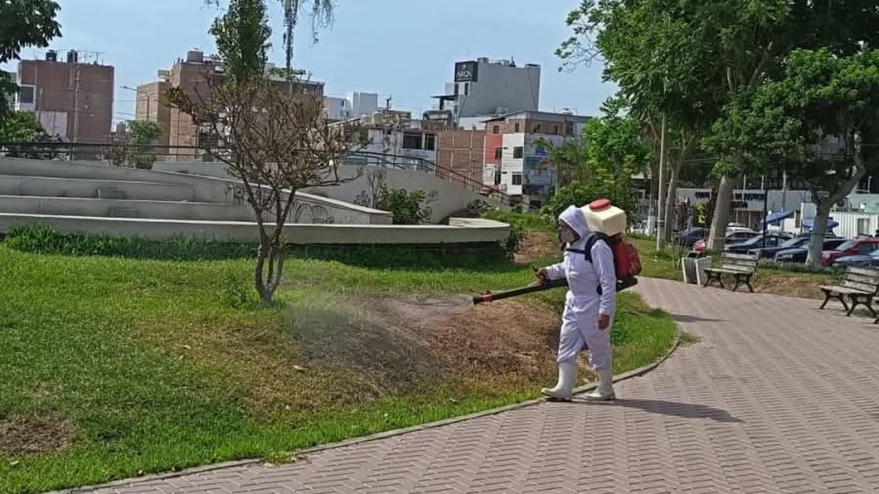 Buscan prevenir el dengue y proteger a la población.