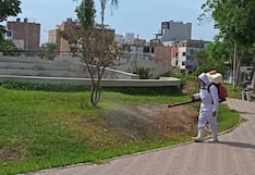 Intensifican fumigación en parques de Trujillo