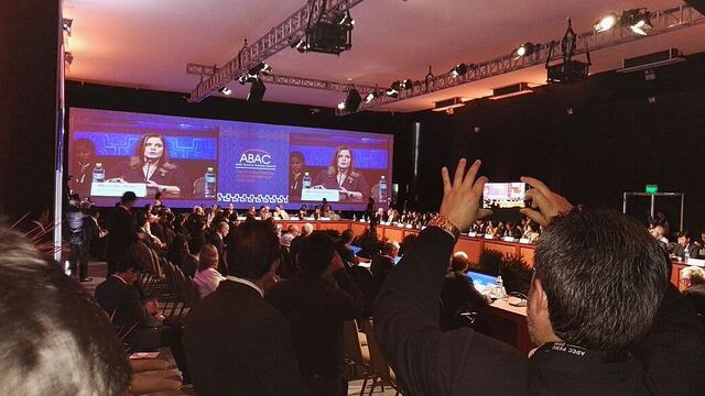 Inauguraron la primera reunión del Consejo Consultivo del APEC