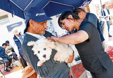 Junín: Vacunarán más de 150 mil canes para prevenir casos de rabia, estas son las fechas