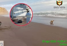 Lobo marino aparece en vereda de vivienda en Camaná