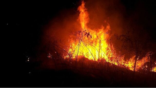 Tacna: Incendio forestal reduce a cenizas 6 héctareas de canaverales