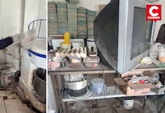 Huancayo: Encuentran heces de roedores y cucarachas en panadería de El Tambo