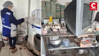 Huancayo: Encuentran heces de roedores y cucarachas en panadería de El Tambo
