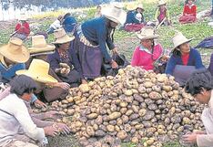 APEC: Se pierden 9 millones de toneladas de alimentos