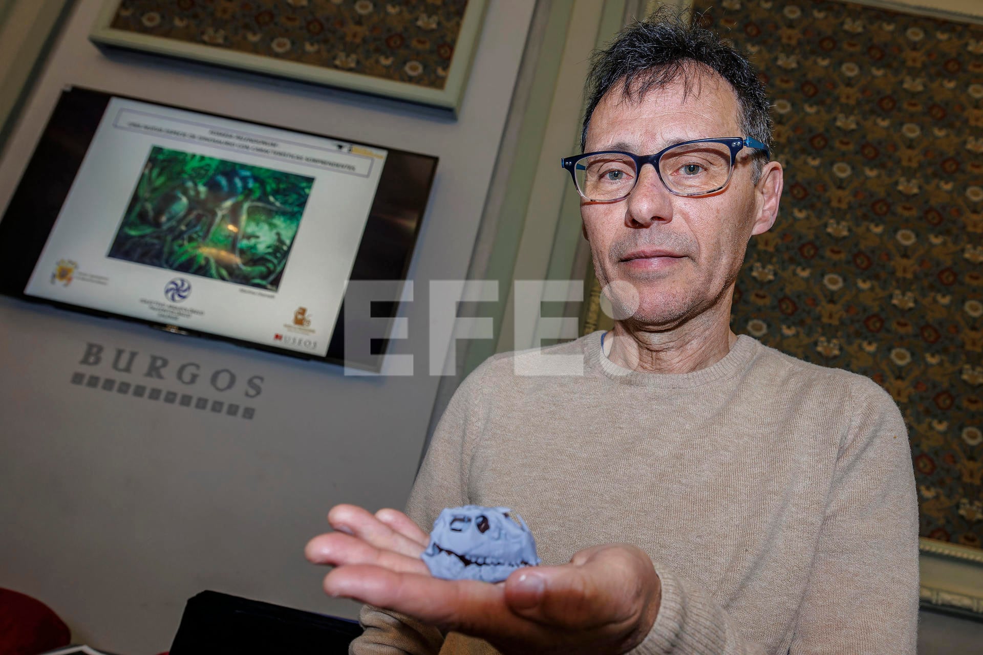 El diminuto Foskeia pelndonum, de apenas medio metro de longitud, fue hallado en la Sierra de la Demanda y llena un vacío clave en la evolución de los rhabdodóntidos. (Foto: EFE)