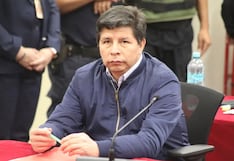 Pedro Castillo fracasa y no saldrá libre por Opinión de la ONUsss