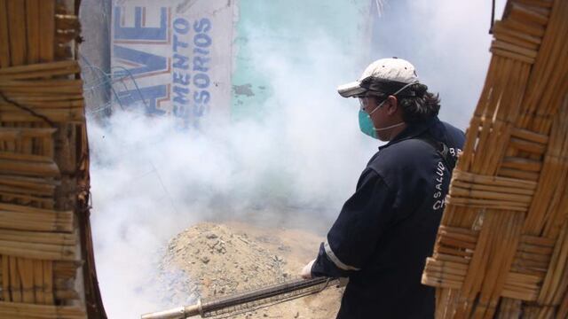 Desidia para combatir el dengue en Chimbote y Nuevo Chimbote