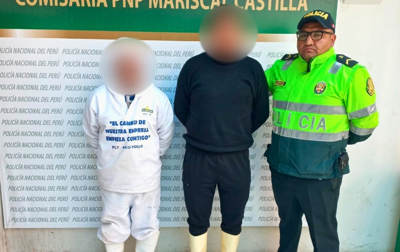 Policía desarticula presunta banda criminal “Los Carniceros de Alto Cural”, que robaba carne de cerdo en Arequipa. Foto: PNP.