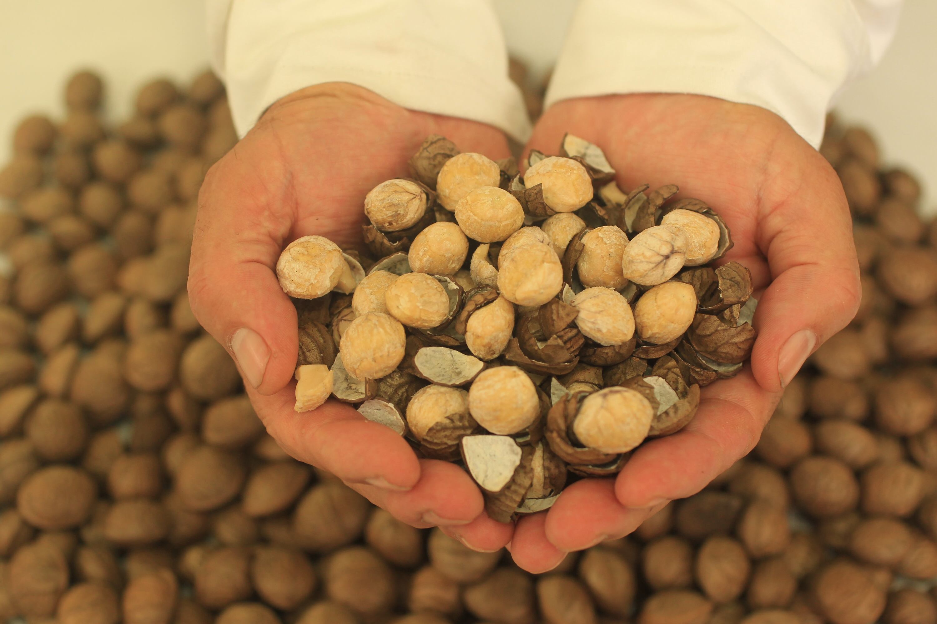 “Es necesario identificar aquellos alimentos que en pequeñas cantidades nos dan un alto valor nutricional como la quinua, sacha inchi y la cañihua”, expresa Sara Abu Sabbah. (Foto: GEC)