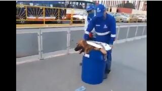 Metropolitano: Protransporte emitió sus descargos por video en el que perro es retirado en barril (VIDEO)