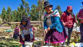 Cusco: Buscan revalorar prácticas ancestrales de cultivo