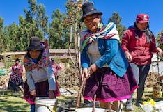 Cusco: Buscan revalorar prácticas ancestrales de cultivo