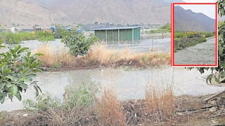 La Libertad: Río Chicama arrasa con 10 hectáreas de sembríos de palta