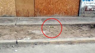 Chincha: malandros dejan explosivo en vivienda del sector 28 de Julio, en Pueblo Nuevo