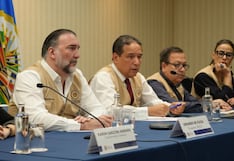 OEA pide esperar con tranquilidad los resultados oficiales de la segunda vuelta electoral