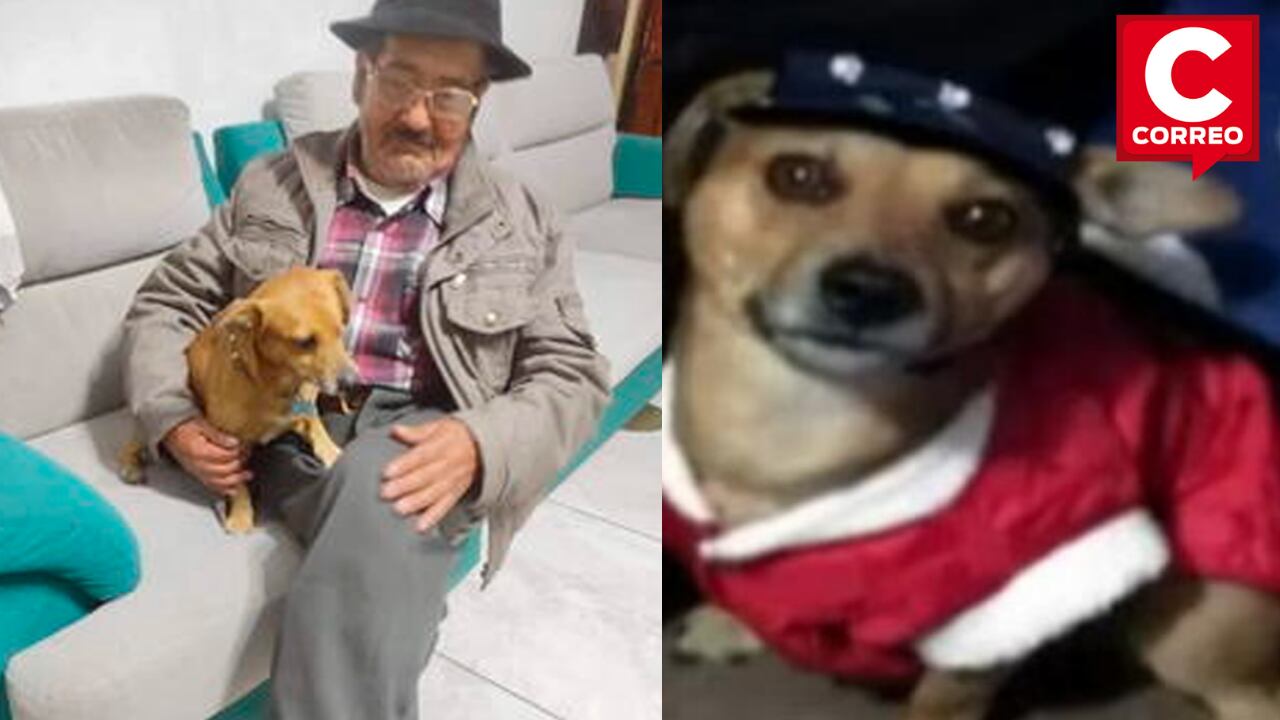 Adulto mayor ofrece recompensa para encontrar perro perdido.