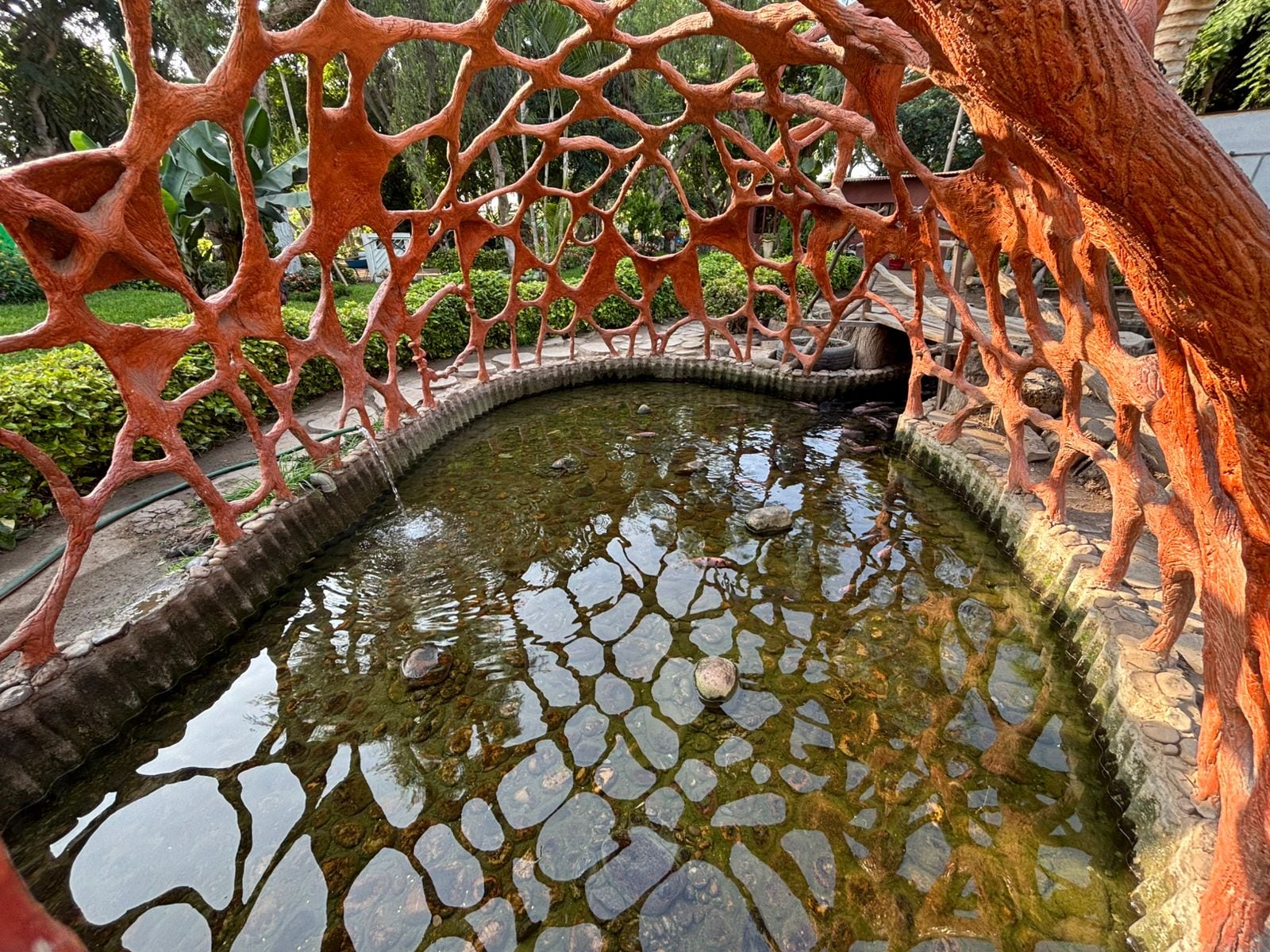 Según el Servicio de Gestión Ambiental de Trujillo (Segat) todos los lunes se hace la limpieza de las peceras. Aseguran qu en redes sociales pasaron imágenes tergiversando lo ocurrido.