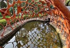 Niegan que los peces del Jardín Botánico de Trujillo se estén muriendo