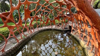 Niegan que los peces del Jardín Botánico de Trujillo se estén muriendo