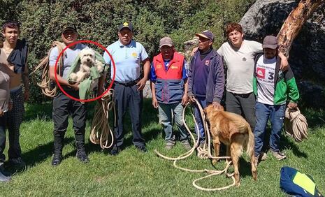 Cusco: PNP rescata a ‘Pitufina’, can que cayó a barranco en Sacsayhuamán (VIDEO)