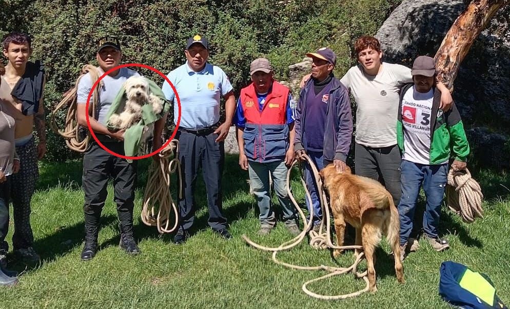La mascota tuvo que ser auxiliada por personal especializado en rescate con cuerdas.