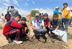 Ica: escolares participan en jornada de arborización y recuperan áreas verdes en colegios