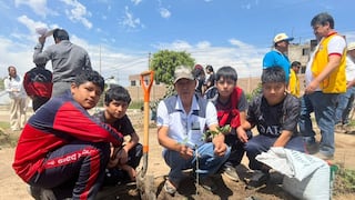 Ica: escolares participan en jornada de arborización y recuperan áreas verdes en colegios
